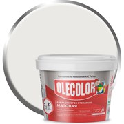 Акриловая эмаль для радиаторов отопления Olecolor 4300006116