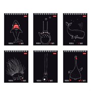 Блокнот МАЛЫЙ ФОРМАТ А6, 60 л., гребень, картон, клетка, HATBER, "Нескучные герои", 088310, 60Б6В1гр