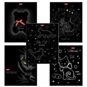 Тетрадь А5 48 л., HATBER скоба, клетка, матовая ламинация, 3D-фольга, "Кошки-мишки" (микс), 087356, 48Т5лофВ1