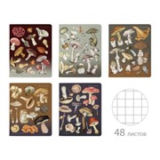 Тетрадь А5, 48 л., АЛЬТ скоба, клетка, матовая ламинация, "Грибная феерия" (5 видов), 7-48-1325