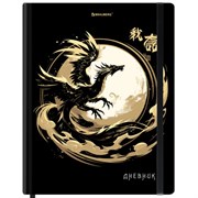 Дневник 1-11 класс 48 л., твердый, BRAUBERG, матовая ламинация, резинка, закладка-ляссе, с подсказом, "Дракон", 107240