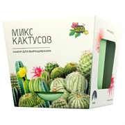 Набор для выращивания растений МАГИЯ ЦВЕТОВ "Кактусы микс" (горшок, грунт, семена), mf-003
