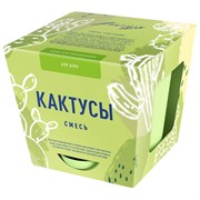Набор для выращивания растений ТЫСЯЧА ЛИСТЬЕВ "Кактусы" (горшок, грунт, семена), tl-035