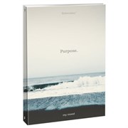 Тетрадь на кольцах БОЛЬШАЯ А4, 215х305 мм, 100 л., твердый картон, клетка, BRAUBERG, "Nature", 405411