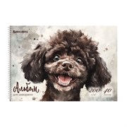 Альбом для акварели А4 40 л., бумага 200 г/м2, гребень, твердая подложка, BRAUBERG, "Пудель", 116885