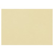 Бумага для пастели (1 лист) FABRIANO Tiziano А2+ (500х650 мм), 160 г/м2, песочный, 52551006