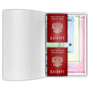 Папка-органайзер, обложка семейная для 2-х комплектов документов, А4, ПВХ, матовая, STAFF, 238873