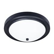 Светильник Arte Lamp JAMES