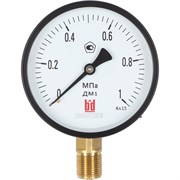 Манометр BD ДМ 1 Т2 100 Р