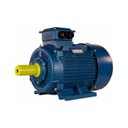 Электродвигатель 5АИ 180 М2 30/3000 IM 1001