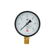 Манометр BD ДМ 1 Т2 100 Р