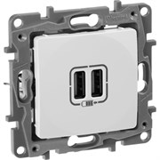 Зарядное устройство Legrand Etika