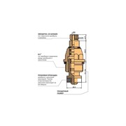 Кранбукса Melodia della vita 34162