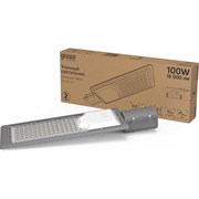 Уличный светильник GAUSS Avenue