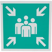 Знак Стандарт Знак Е21