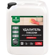 Удалитель плесени с минеральных поверхностей PROSEPT FUNGI CLEAN