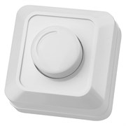 Поворотный светорегулятор TDM ELECTRIC RL Ладога