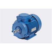 Электродвигатель МЭЗ У2-220/380-50IM1081-Р.К.В. К31Е-ААА IE1 Могилев АИР100S4