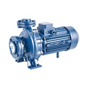 Моноблочный фланцевый насосный агрегат Purity PSTC 40-125/15 (N)