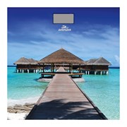 Весы Добрыня DO 3006M