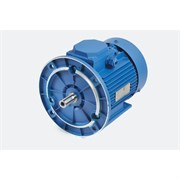 Электродвигатель МЭЗ АИР132М8