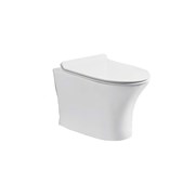 Подвесной безободковый унитаз Cerutti SPA BERNINA Aria