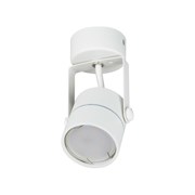 Накладной декоративный светильник Fametto DLC-S610