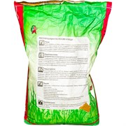 Семена Зеленый ковер Декоративный газон Коттедж