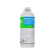 Средство для бассейна Wellness therm Активный кислород
