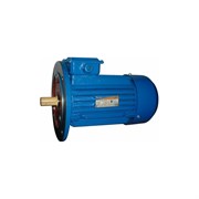 Электродвигатель 5АИ 90 L4 2.2/1500 IM 3081