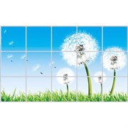 Защитная пленка-стикер PERFECTO LINEA TL-261