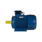 Электродвигатель 5АИ 280 S8 55/750 IM 1001