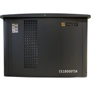 Газопоршневой газоагрегат CTG CG18000TSA