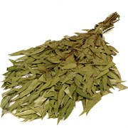 Эвкалиптовый веник Банная линия 10-666