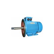 Электродвигатель 5АИ 160 S2Ж 15/3000 IM 2009