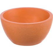 Кашпо Вещицы суккулент