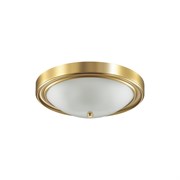 Настенно-потолочный светильник Lumion NINA