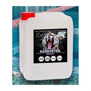 Средство для чистки фильтра бассейна KENAZ КЕНАЗ КАНЗИСТАБ