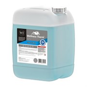 Реагент для очистки систем отопления Wellness therm REAL SHINE