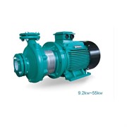 Центробежный моноблочный насос LEO XST 50-250/185, 18,5 кВт, 380В, Qmax. 84,0 m3h, Hmax. 77 м