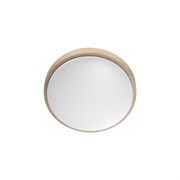 Настенно-потолочный светильник СОНЕКС LOSTA