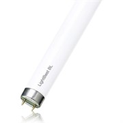 Инсектицидная лампа в ловушки для насекомых LightBest 700909001