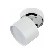 Декоративный светильник Fametto DLC-S615