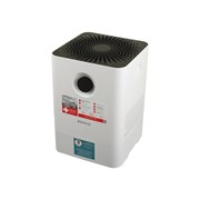 Мойка воздуха Boneco W 200