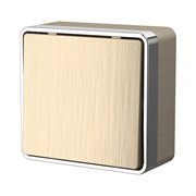 Одноклавишный выключатель WERKEL W5010010