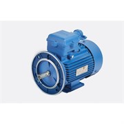 Электродвигатель МЭЗ 4ВР63А4