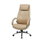 Кресло Easy Chair BNUEchair-572 TR