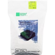 Семена газона Зеленый квадрат Теневой