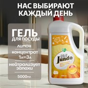 Гель для мытья посуды Jundo Juicy lemon