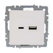 Розетка usb IEK Brite